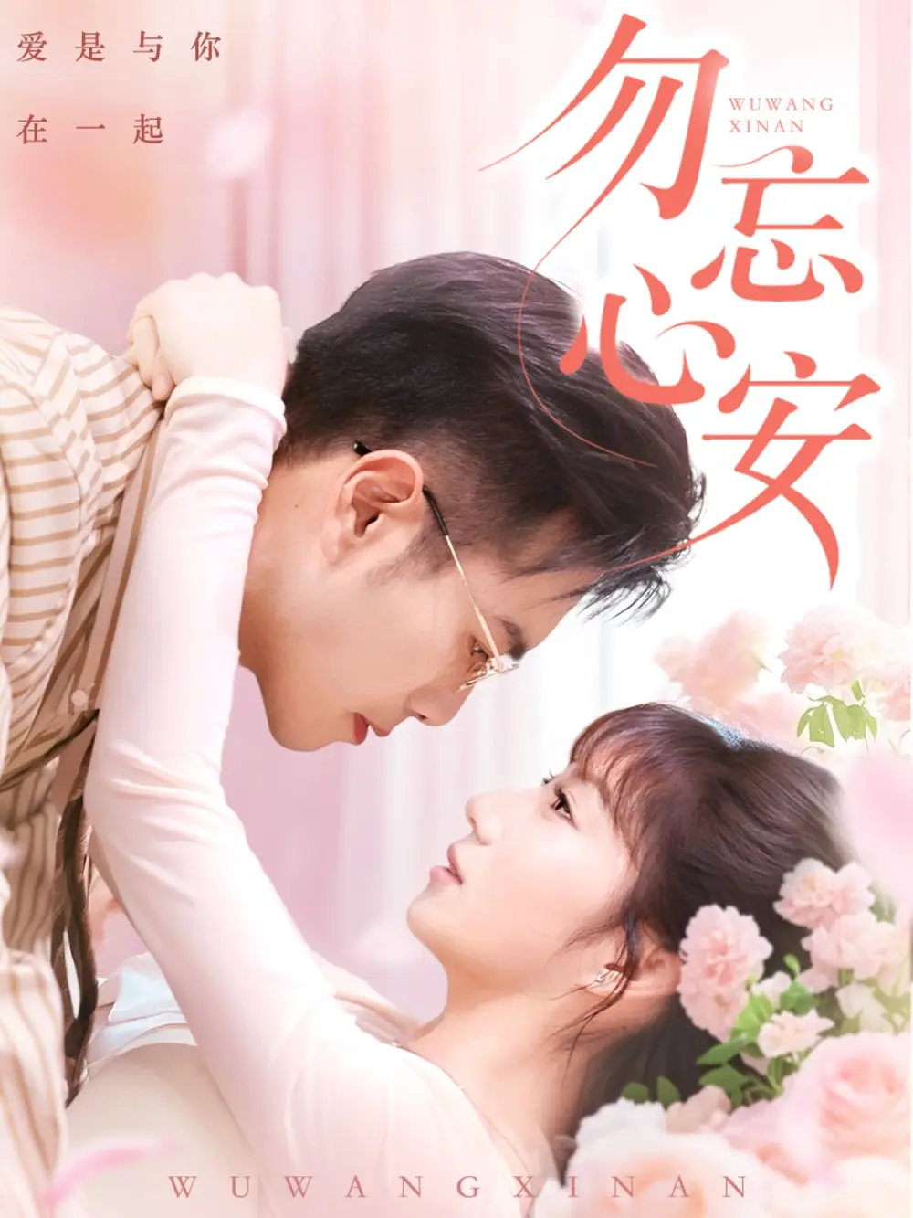 勿忘心安(20集)
