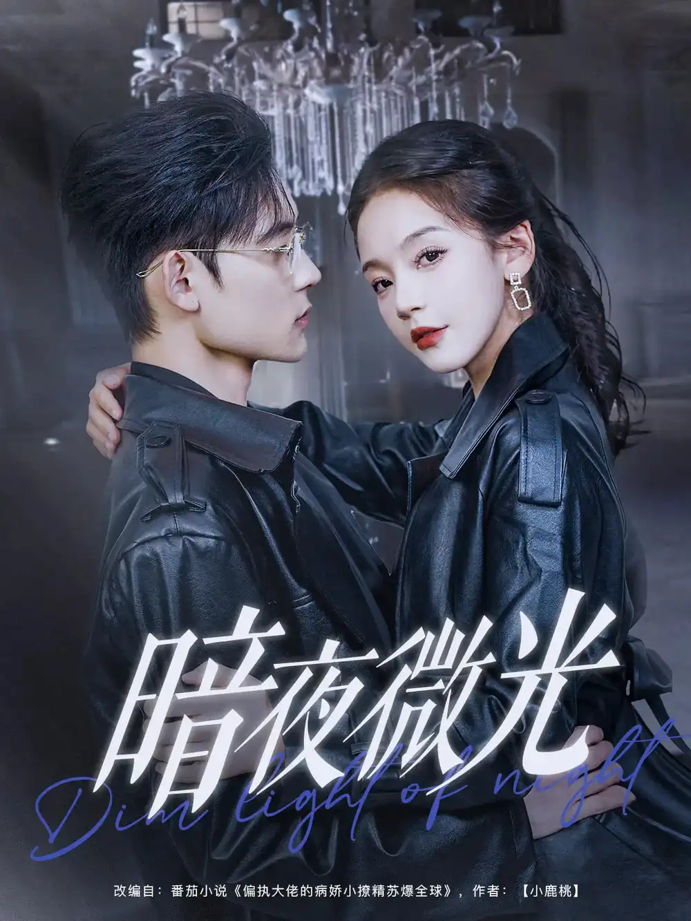 暗夜微光(86集)