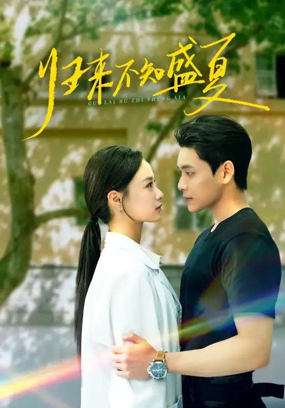 《归来不知盛夏(75集)张志伟&王宇婧》短剧全集免费在线看