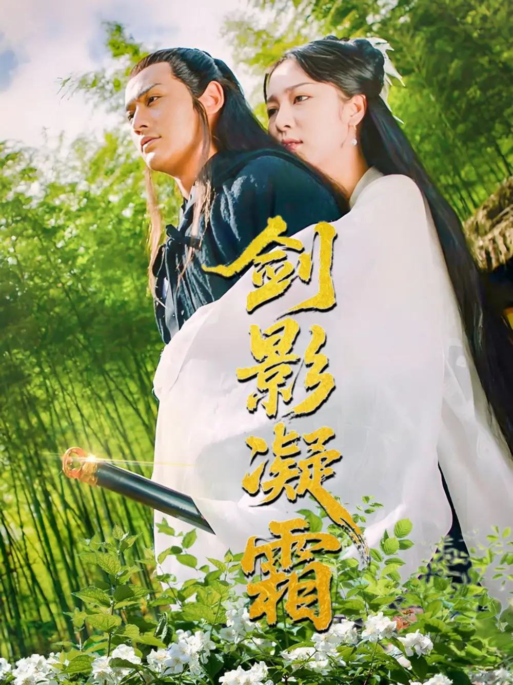 《剑影凝霜(52集)朱茉颜》短剧全集免费在线看