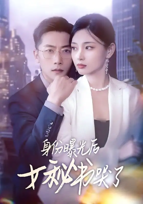 《身份曝光后女秘书哭了(31集)刘雪君&张家川》短剧全集免费在线看