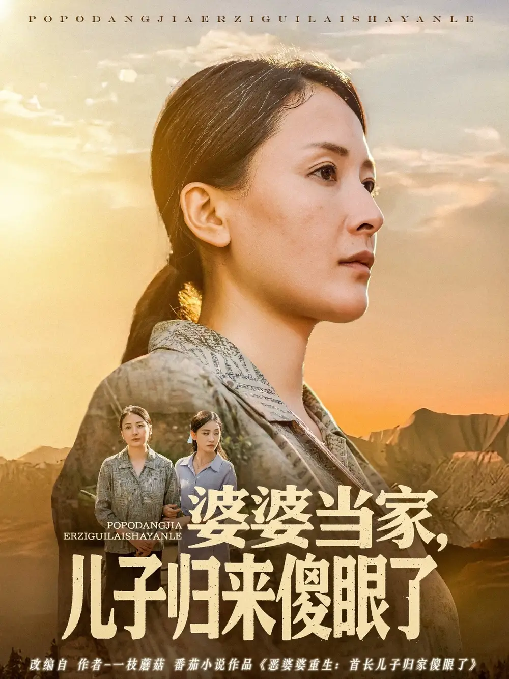 《婆婆当家儿子归来傻眼了(80集)》短剧全集免费在线看
