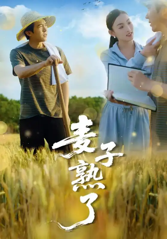 麦子熟了(52集