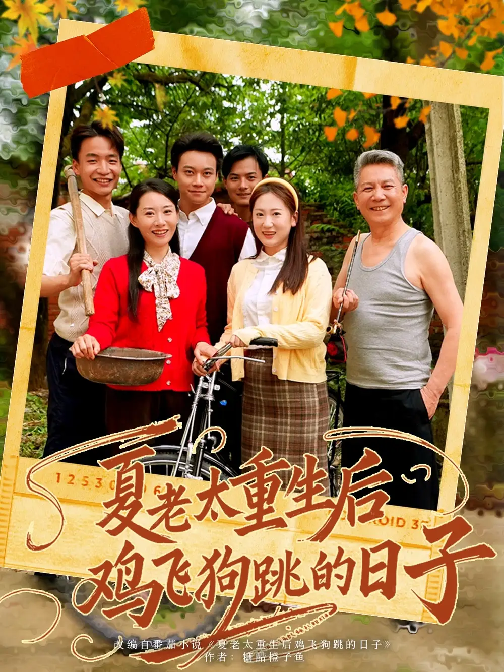 《夏老太重生后鸡飞狗跳的日子(70集)》短剧全集免费在线看