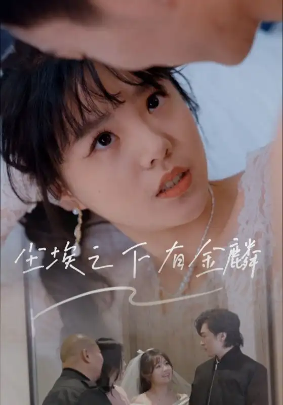 《尘埃之下有金鳞(60集)》短剧全集免费在线看