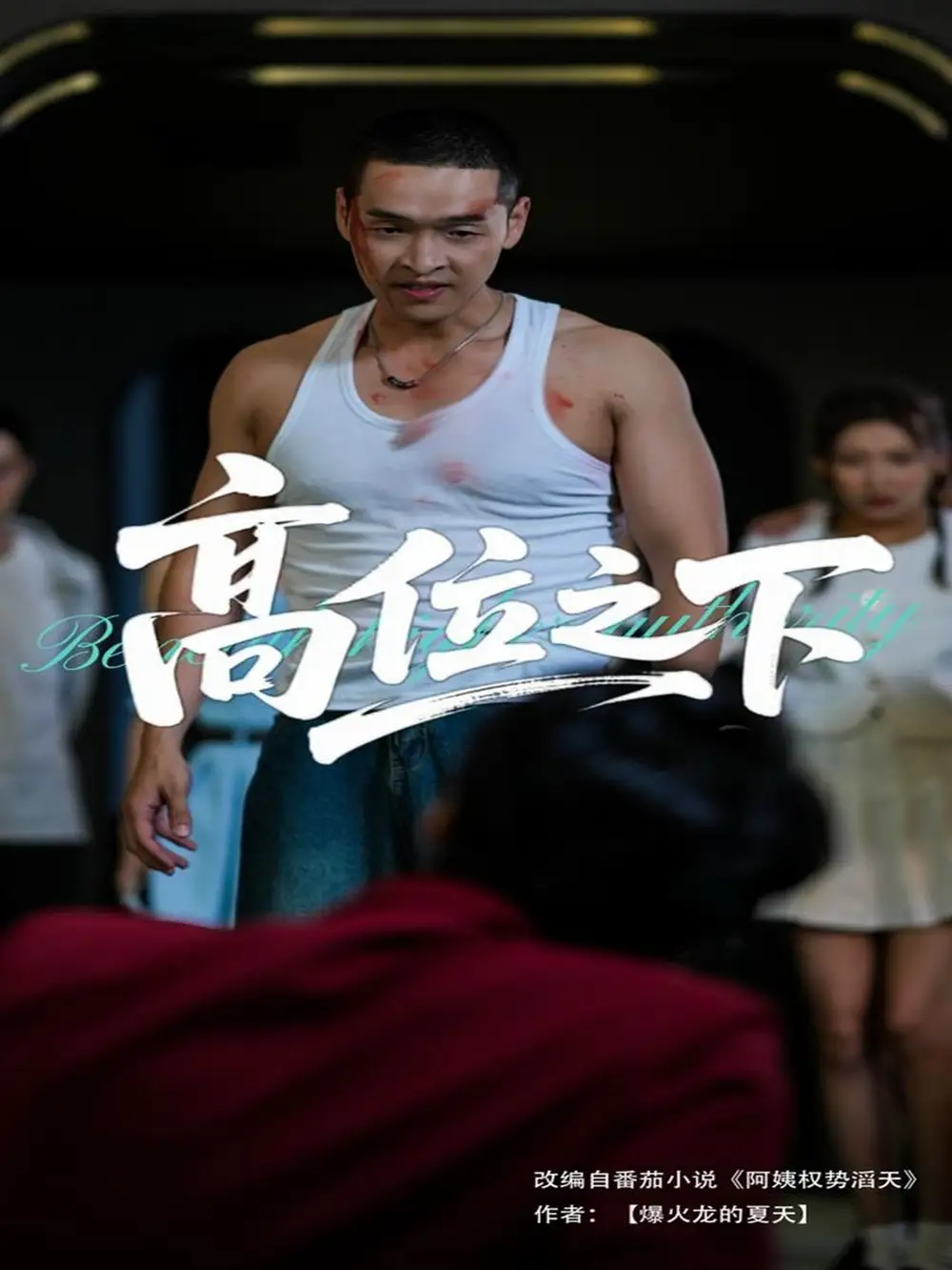 《高位之下(65集)》短剧全集免费在线看