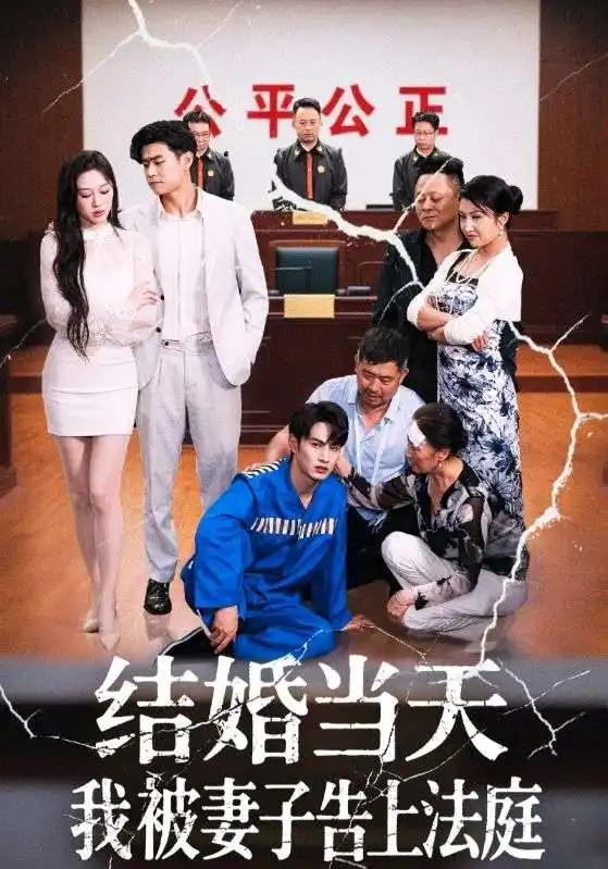 《结婚当天我被妻子告上法庭(30集)王惠》短剧全集免费在线看