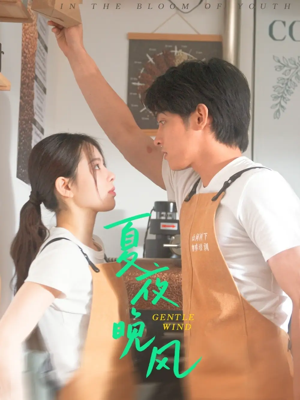《夏夜晚风(12集)》短剧全集免费在线看
