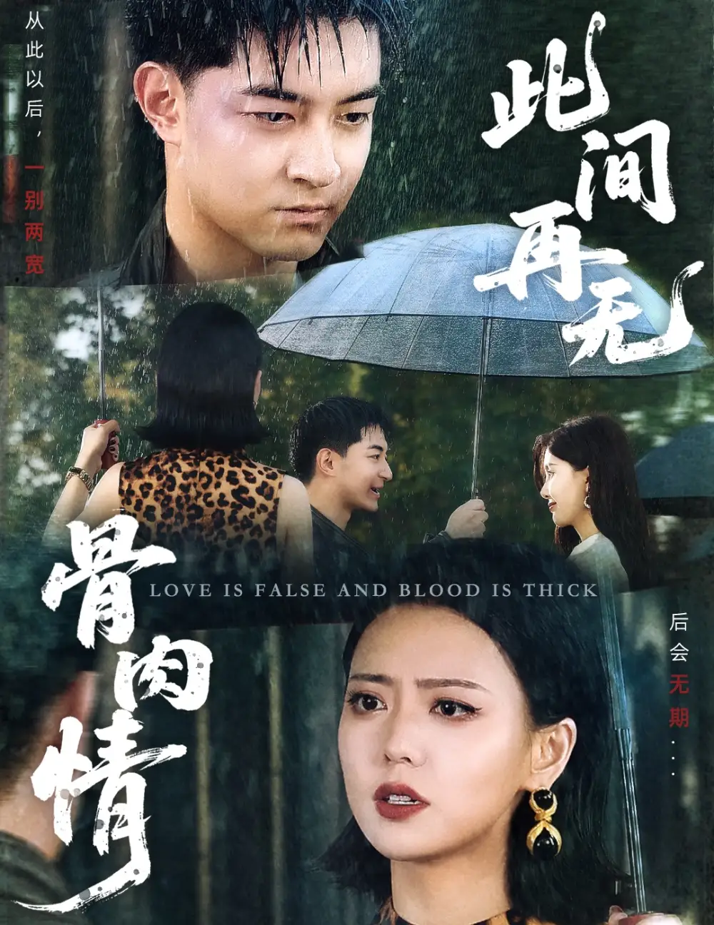《此间再无骨肉情(60集)高岫楠》短剧全集免费在线看