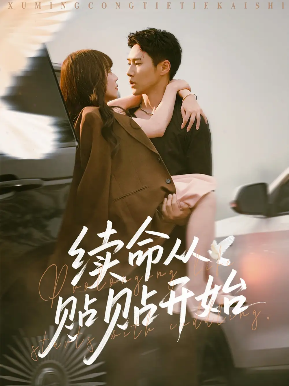 《续命从贴贴开始(66集)》短剧全集免费在线看