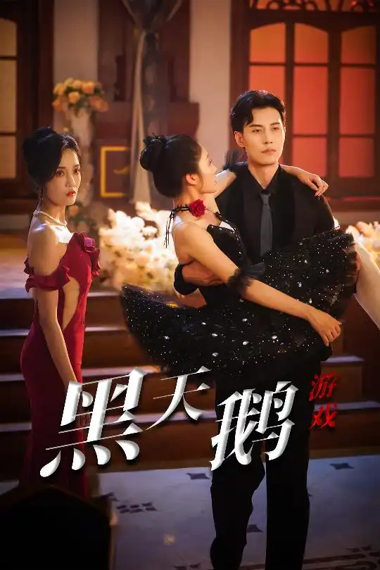 《黑天鹅游戏(60集)》短剧全集免费在线看