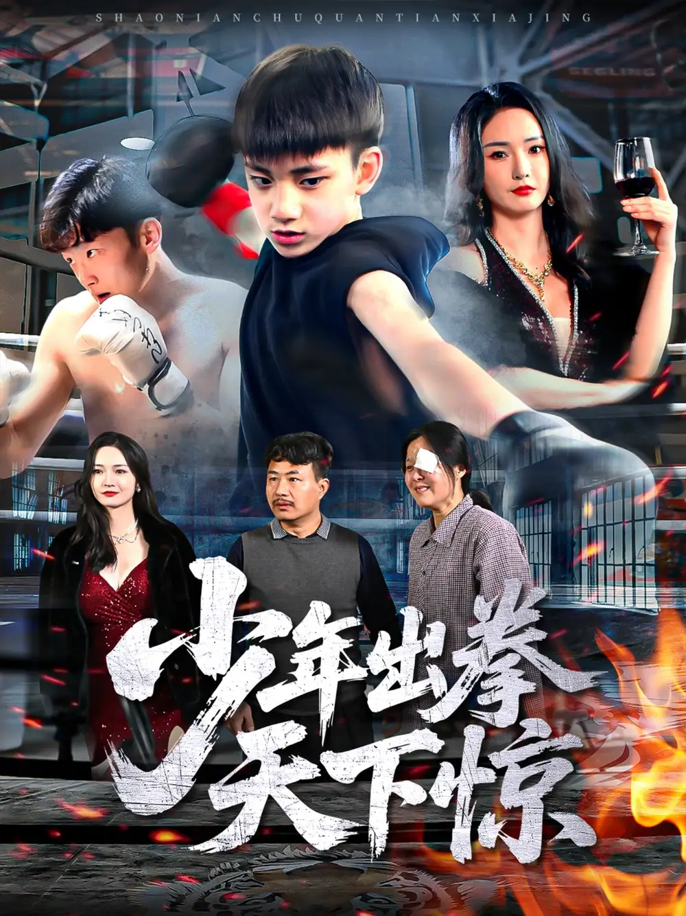 《少年出拳天下惊(60集)》短剧全集免费在线看