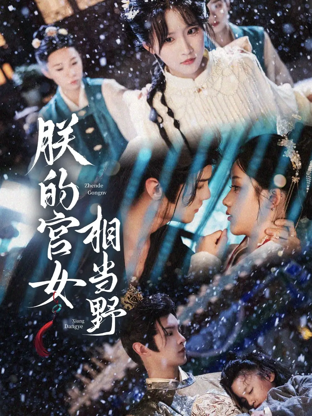《朕的宫女相当野(62集)王燕飞》短剧全集免费在线看