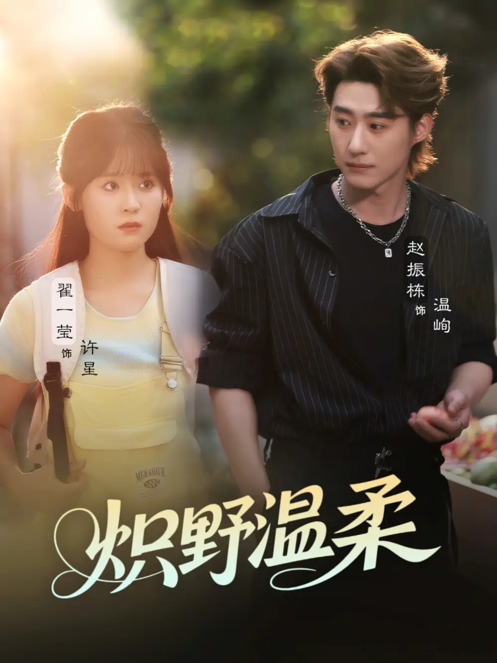 《炽野温柔(72集)翟一莹&赵振栋&刘雨杉(与三)》短剧全集免费在线看