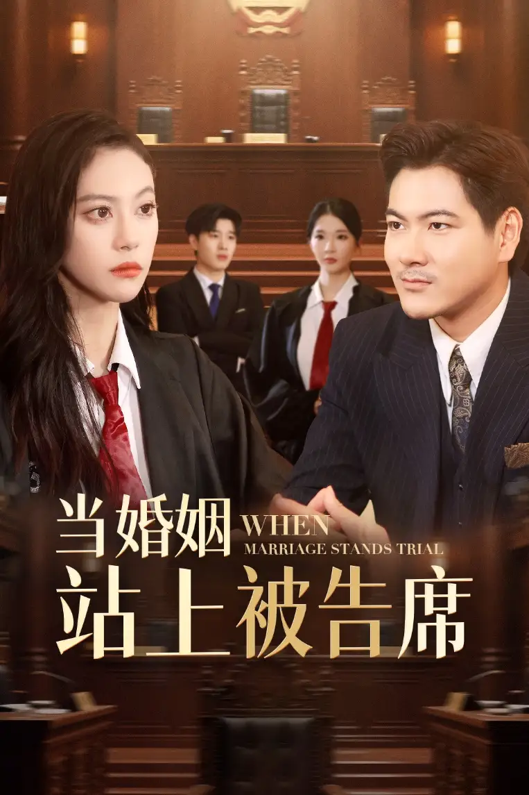 《当婚姻站上被告席(30集)刘林&刘涵飞》短剧全集免费在线看