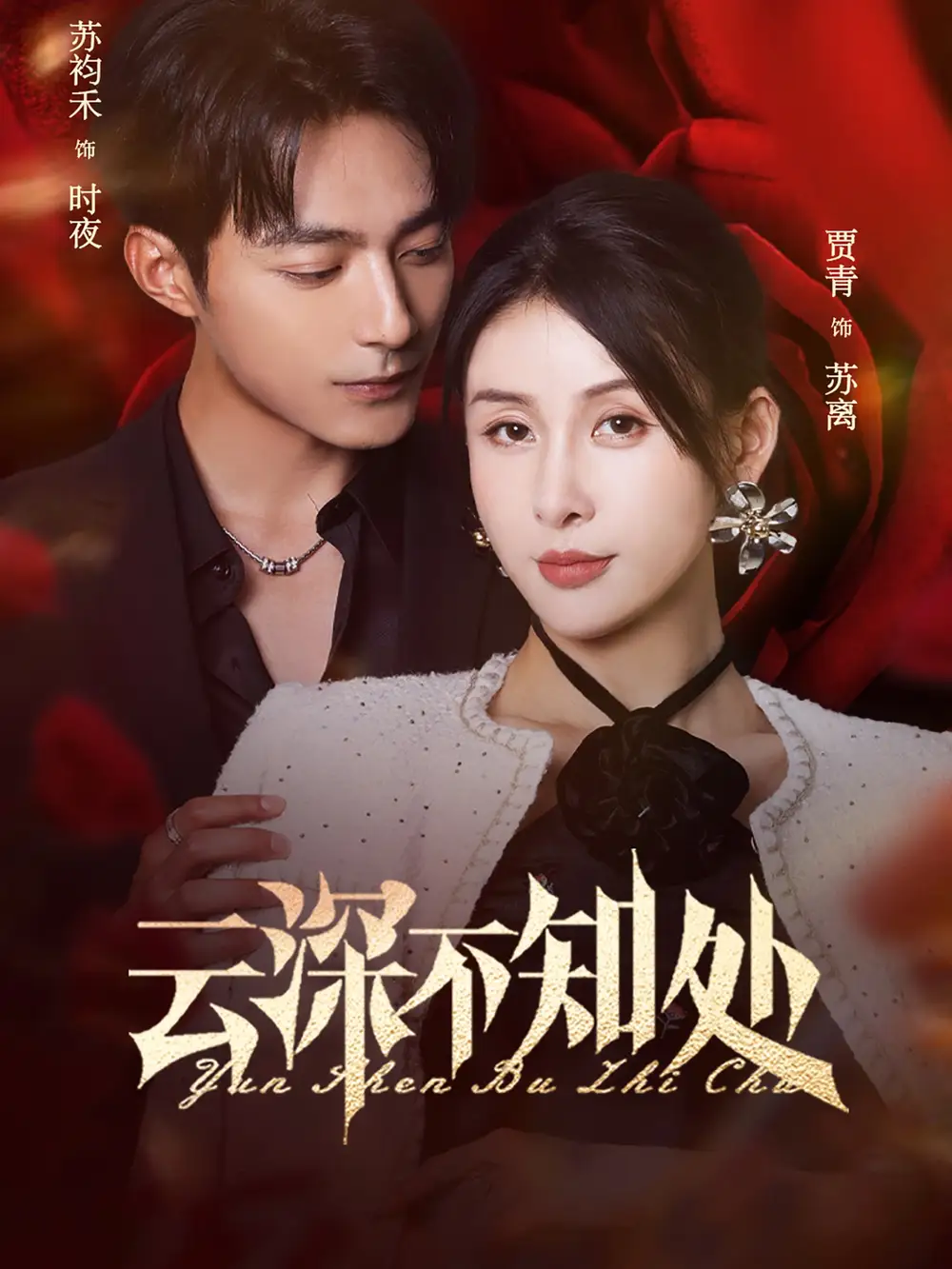 《云深不知处(75集)贾青》短剧全集免费在线看
