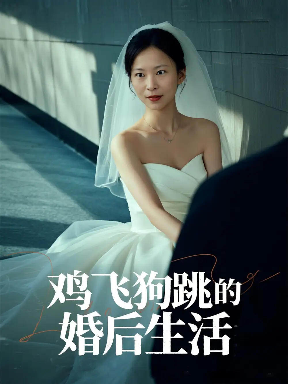 《鸡飞狗跳的婚后生活(28集)》短剧全集免费在线看