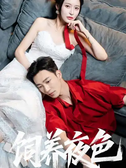 《饲养夜色(86集)姚冠宇&陈思澈》短剧全集免费在线看