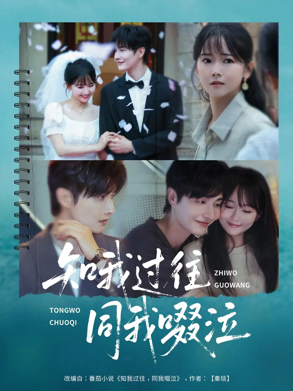 《知我过往同我啜泣(60集)王雅淇》短剧全集免费在线看