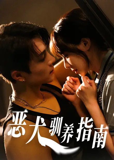 《恶犬驯养指南(40集)》短剧全集免费在线看
