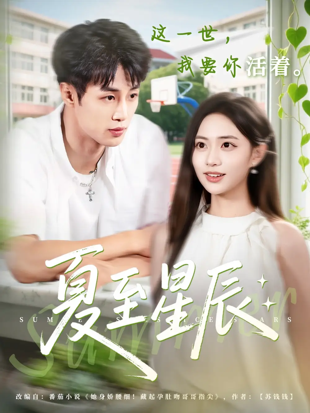 《夏至星辰(54集)》短剧全集免费在线看