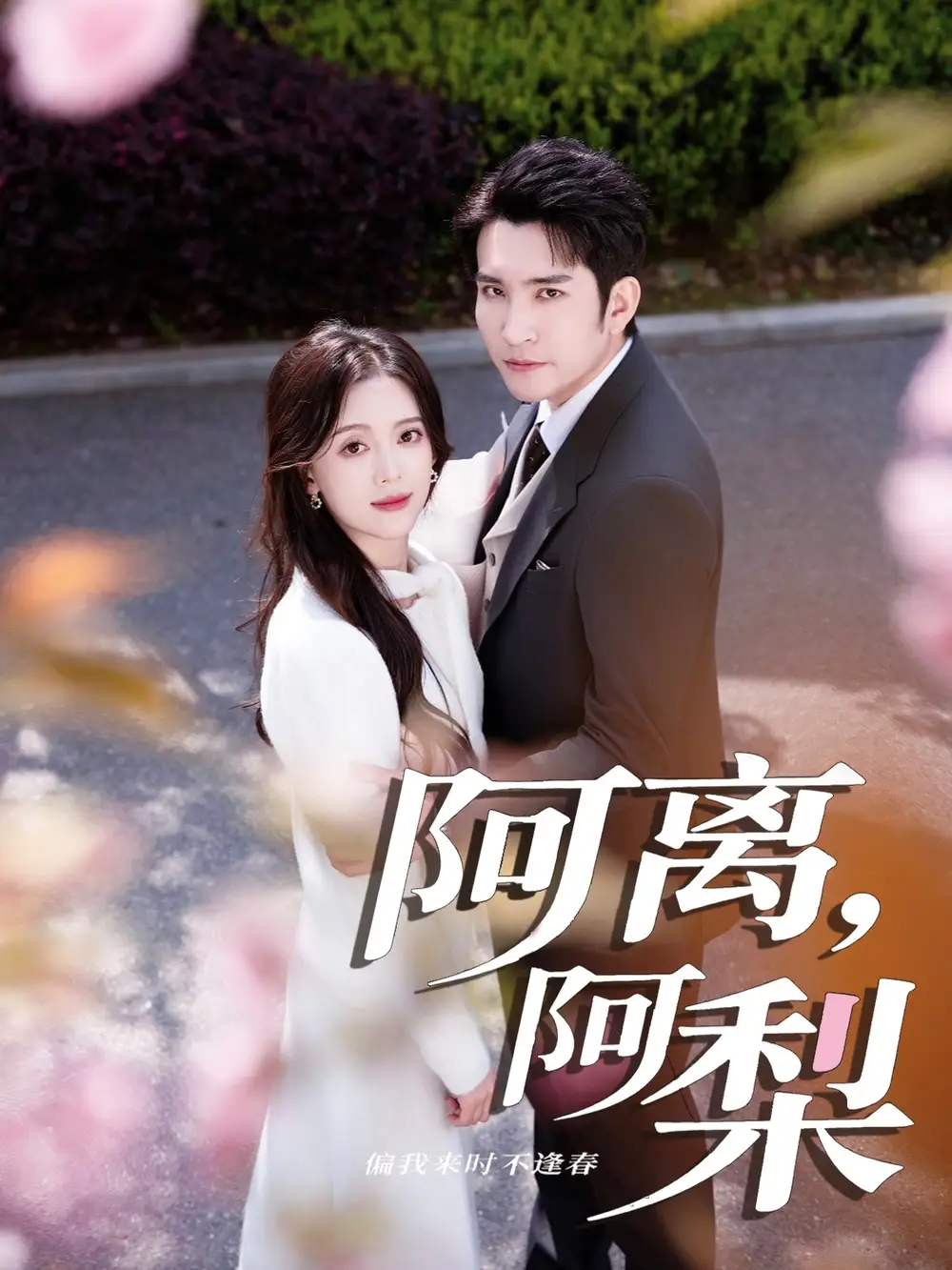 《阿离阿梨(60集)》短剧全集免费在线看