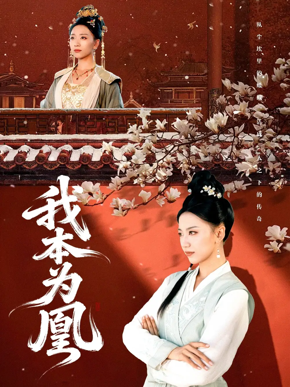 《.我本为凰(82集)》短剧全集免费在线看