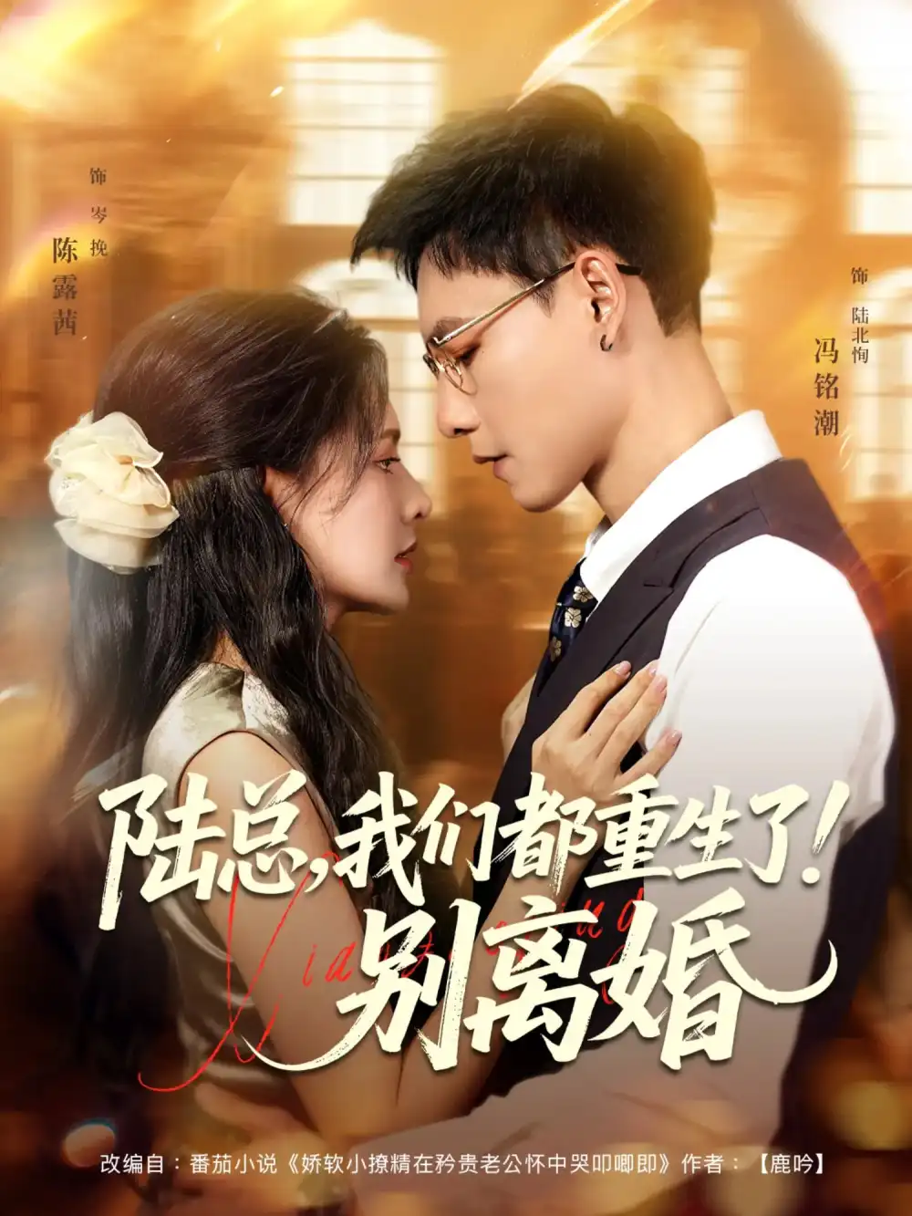 《陆总我们都重生了!别离婚&陆总我们都重生了别离婚(79集)冯铭潮&陈露茜》短剧全集免费在线看