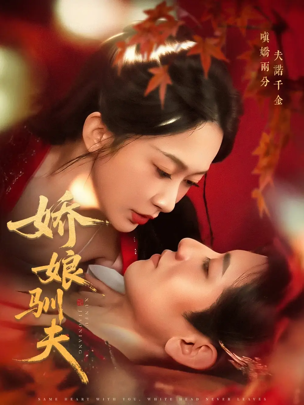 《娇娘驯夫(82集)》短剧全集免费在线看
