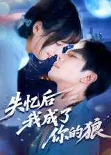 《失忆后我成了你的狼(70集)》短剧全集免费在线看