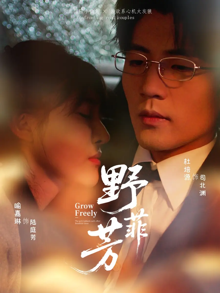 《野芳菲(60集)喻嘉琳&杜培源》短剧全集免费在线看