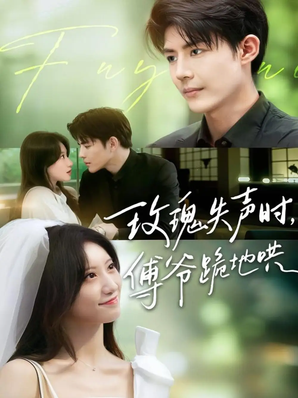《玫瑰失声时傅爷跪地哄(70集)詹妮&于济玮》短剧全集免费在线看
