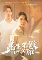 《此生不做回头雁(38集)》短剧全集免费在线看
