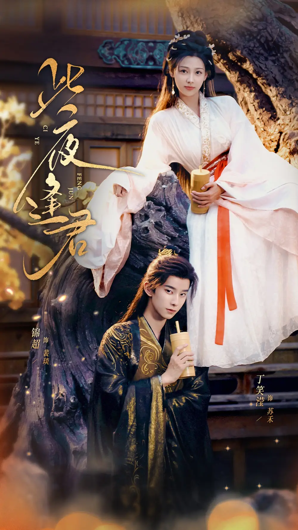《此夜逢君(76集)》短剧全集免费在线看