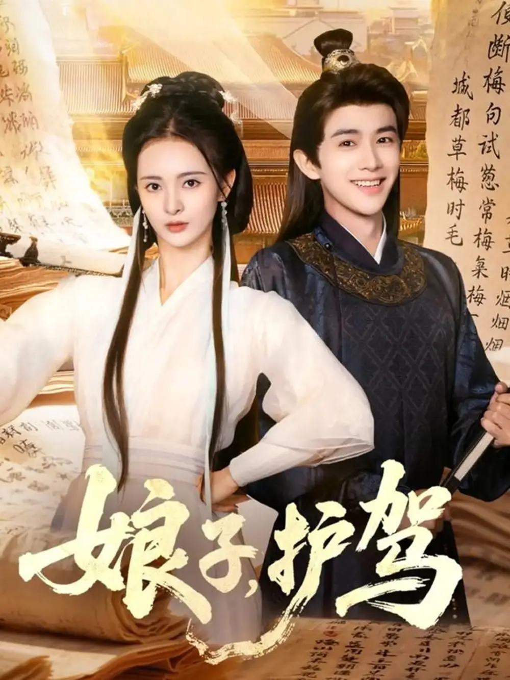 《娘子护驾（73集）》短剧全集免费在线看