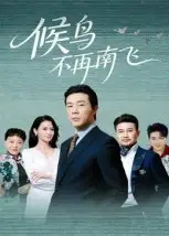 《候鸟不再南飞（80集）苗峯&王真真》短剧全集免费在线看