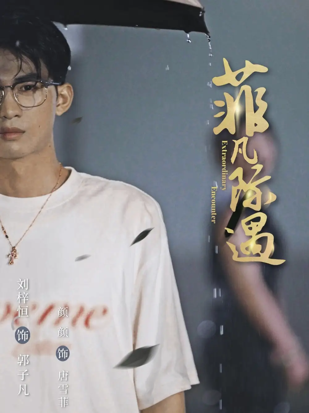 《菲凡际遇(100集)刘梓恒&颜颜》短剧全集免费在线看