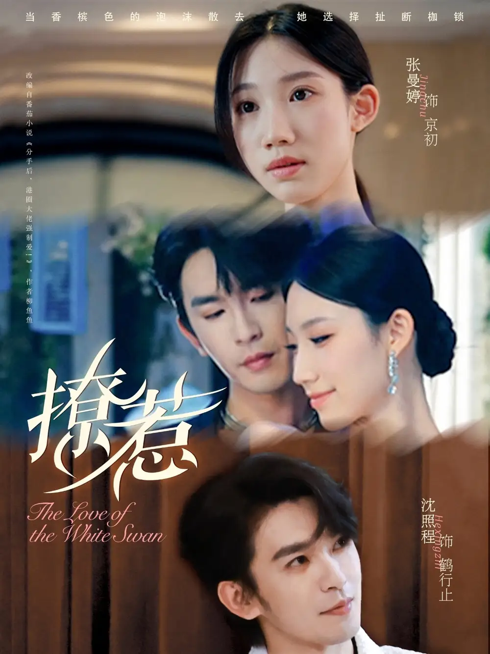 《撩惹(80集)》短剧全集免费在线看
