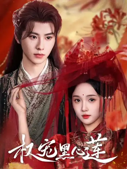 《权宠黑心莲(78集》短剧全集免费在线看