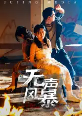 《无声风暴（33集）》短剧全集免费在线看