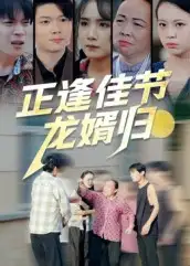 《正逢佳节龙婿归(42集)》短剧全集免费在线看