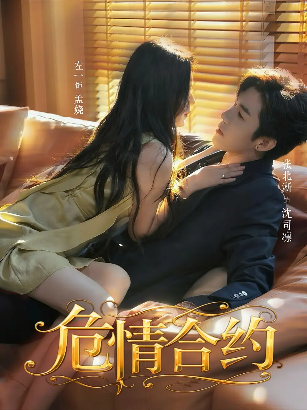 《危情合约(76集)》短剧全集免费在线看
