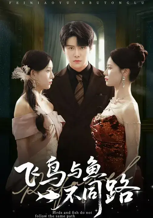 《飞鸟与鱼不同路（60集）》短剧全集免费在线看