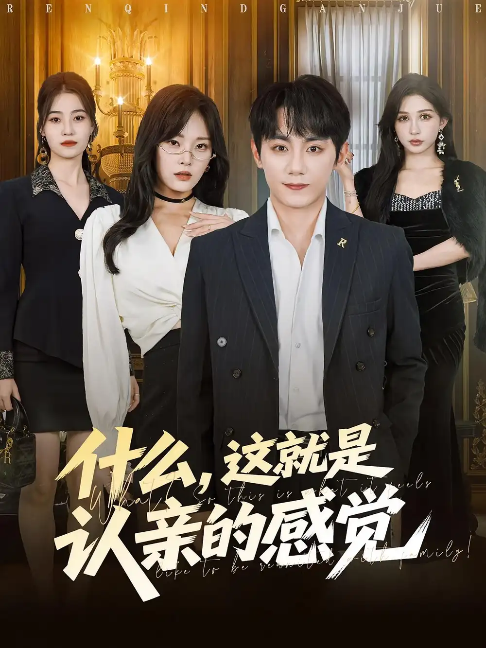《什么这就是认亲的感觉&什么这就是认亲的感觉(82集)》短剧全集免费在线看