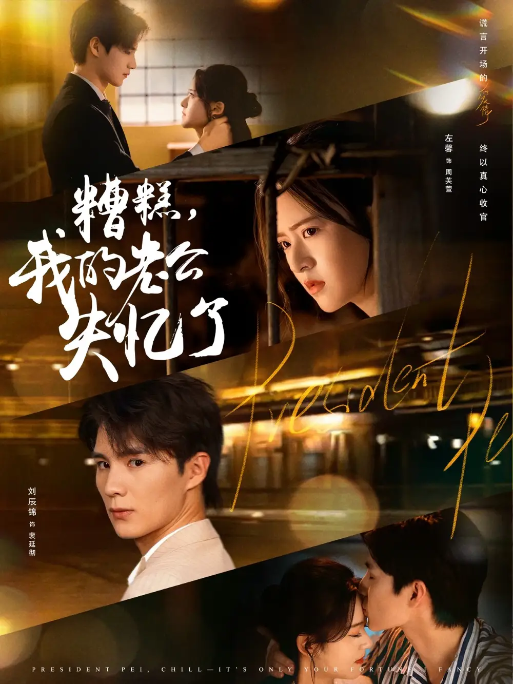 《糟糕我的老公失忆了(80集)》短剧全集免费在线看