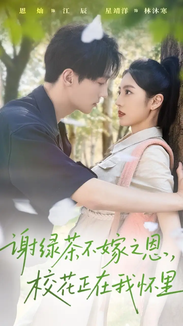 《谢绿茶不嫁之恩校花正在我怀里(56集)》短剧全集免费在线看