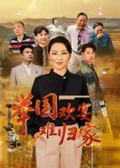 《举国欢宴难归家(40集)》短剧全集免费在线看