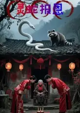 《灵蛇报恩(30集)》短剧全集免费在线看