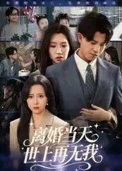 《离婚当天世上再无我(60集)》短剧全集免费在线看