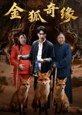 《金狐奇缘（42集）》短剧全集免费在线看